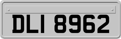 DLI8962