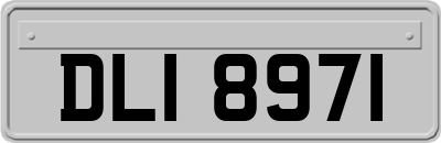 DLI8971