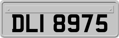 DLI8975