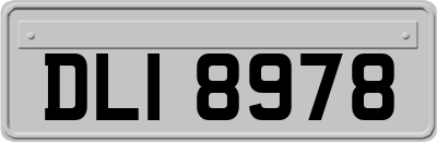 DLI8978