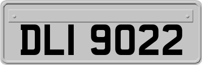DLI9022
