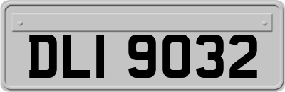 DLI9032