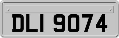 DLI9074