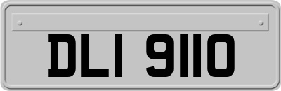 DLI9110