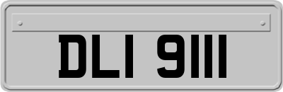 DLI9111