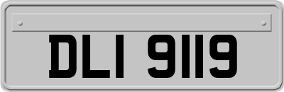 DLI9119