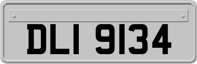 DLI9134