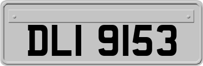 DLI9153