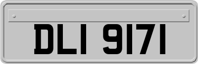 DLI9171