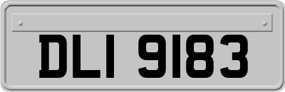 DLI9183