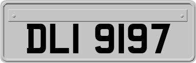 DLI9197