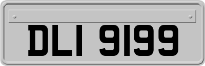 DLI9199