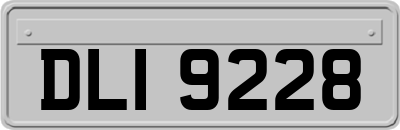 DLI9228