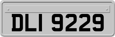 DLI9229