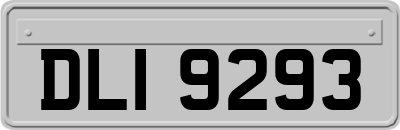DLI9293