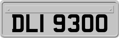DLI9300