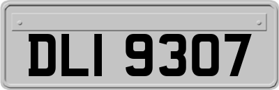 DLI9307