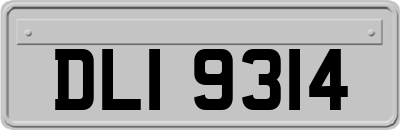 DLI9314