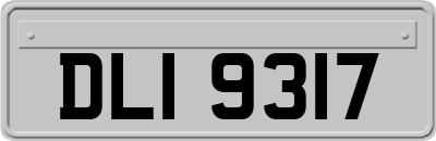 DLI9317