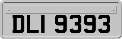 DLI9393