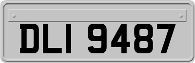 DLI9487