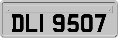 DLI9507
