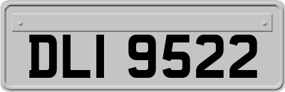 DLI9522