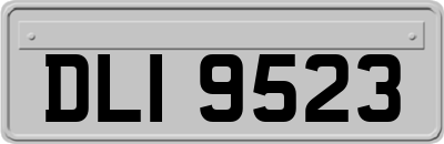 DLI9523