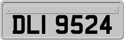 DLI9524