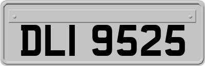 DLI9525