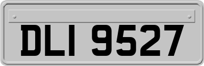 DLI9527