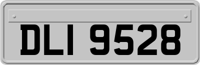 DLI9528