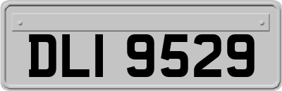 DLI9529