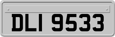 DLI9533