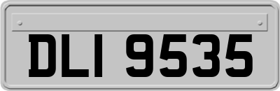 DLI9535