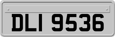 DLI9536