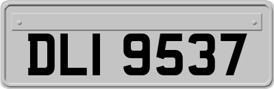 DLI9537