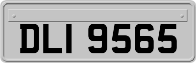 DLI9565