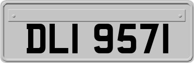 DLI9571