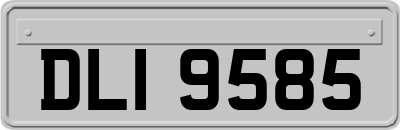 DLI9585