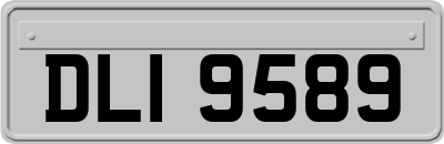 DLI9589