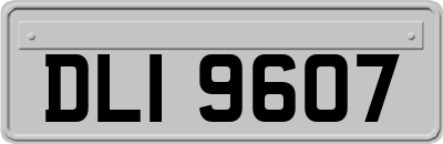 DLI9607
