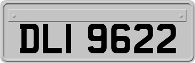 DLI9622