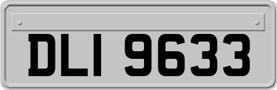 DLI9633