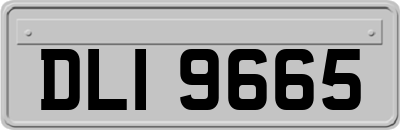 DLI9665