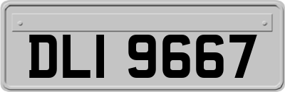 DLI9667