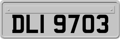 DLI9703