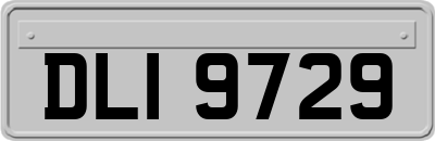 DLI9729