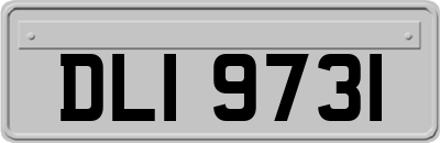 DLI9731