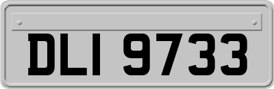 DLI9733